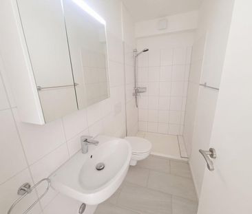 Geräumige 4.5-Zimmer Attikawohnung mit Aussicht in Basel zur Miete - Foto 5