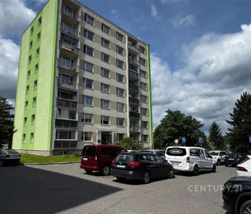 Pronájem bytu 3+1/L, sklep, po rekonstrukci - Fotografie 6