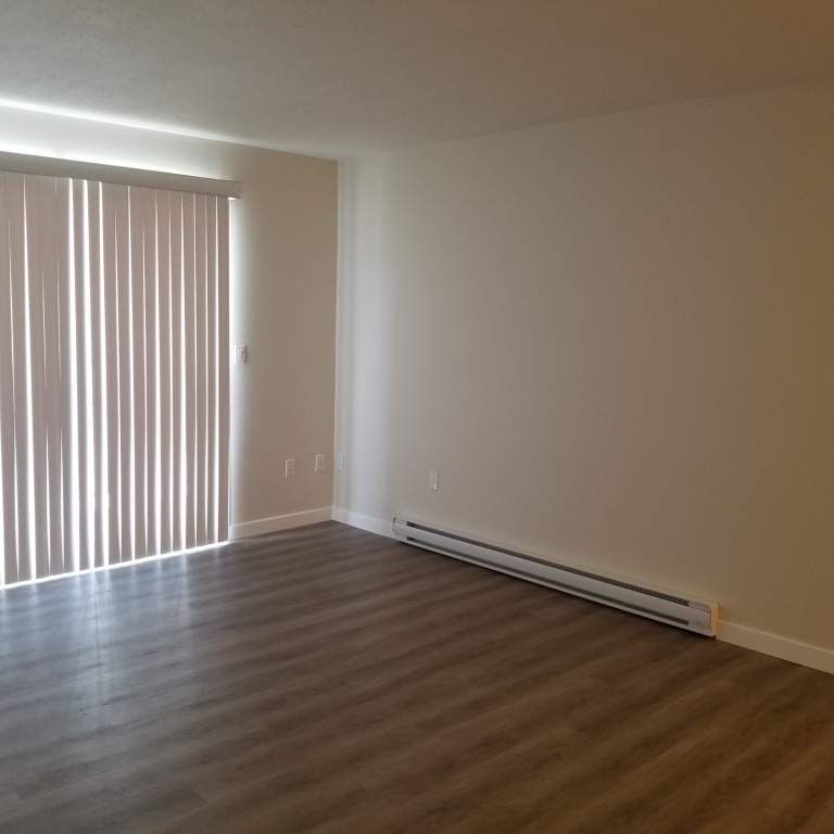 1 Bedroom - Renovated - Photo 1