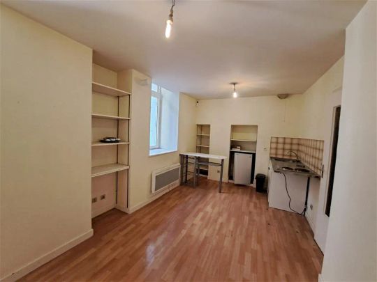 Location appartement 1 pièce - 21.81m² à Beaurepaire (38270) - Photo 1