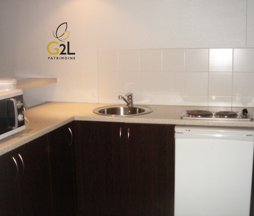 Location Appartement 1 pièce 38m² - Photo 3