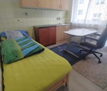 Pronájem pokoje 14 m², Filkukova, Brno - Photo 1