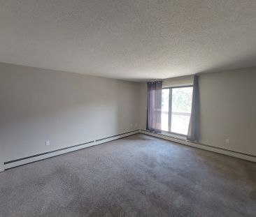 Beautiful 2 Bedroom Unit in Parkvale!! - Photo 2