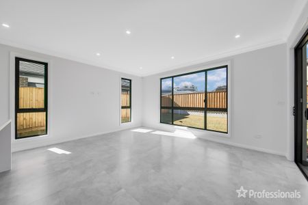 19 Dunstan Dr, Bradbury NSW 2560 - Photo 4