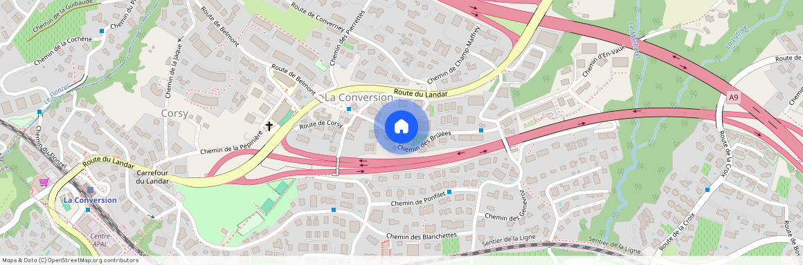 Chemin des Brûlées 30, 1093 La Conversion