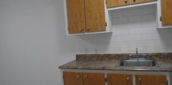 4 ½ Rue Beauchesne Repentigny LIBRE - Photo 2