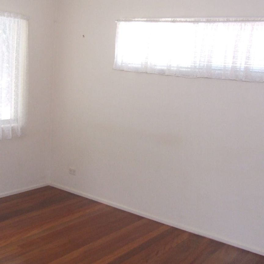 PEACEFUL COASTAL LIVING IN LEAFY CURRUMBIN - Photo 1