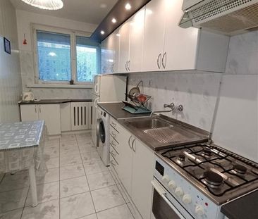 Mieszkanie Elbląg wynajem - Zdjęcie 1