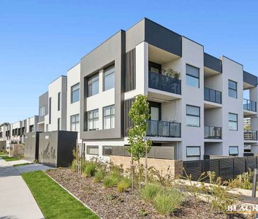 Modern Luxury Nestled in Tuggeranong Creek - Photo 6