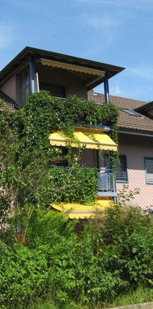 3.5 Zimmer Wohnung - Photo 1