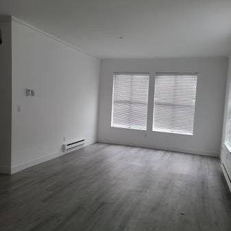 3 Bedroom Apartment - Newly Renovated - Photo 4