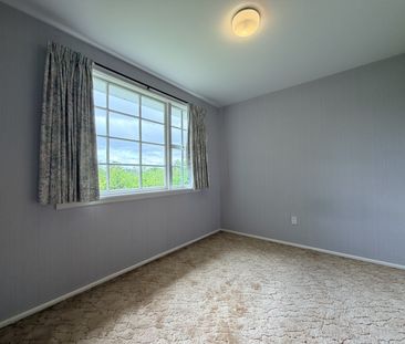 23 St Cilo St, Ilam - Photo 6