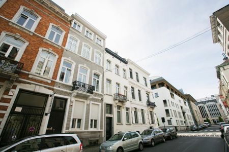 Möblierte Wohnung in Brüssel, Schuman (EU District) - Photo 2