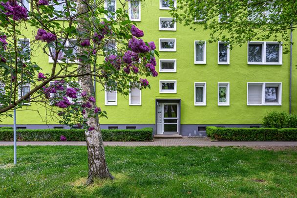 Erdgeschosswohnung in Sanierung - Photo 1