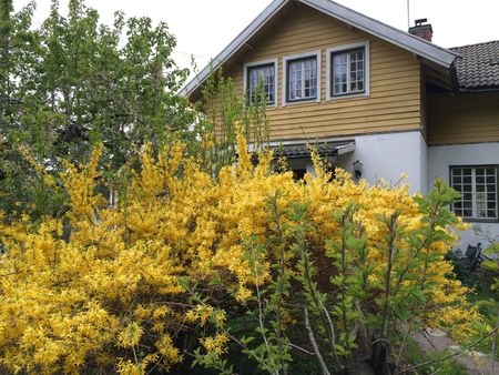 Trasthagen, Lidingö - Photo 2