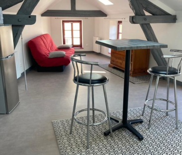 Location Appartement 1 pièce 23m² CHARLIEU 42190 - Photo 6