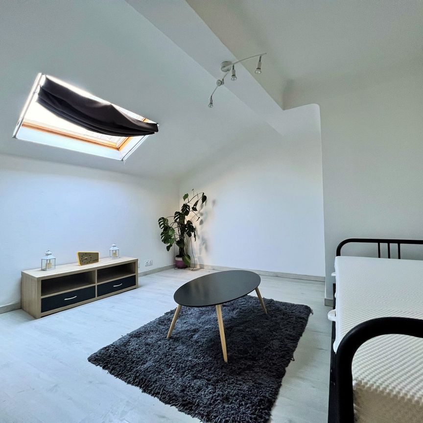 Location Appartement 1 pièce 29m² SARREBOURG 57400 - Photo 1