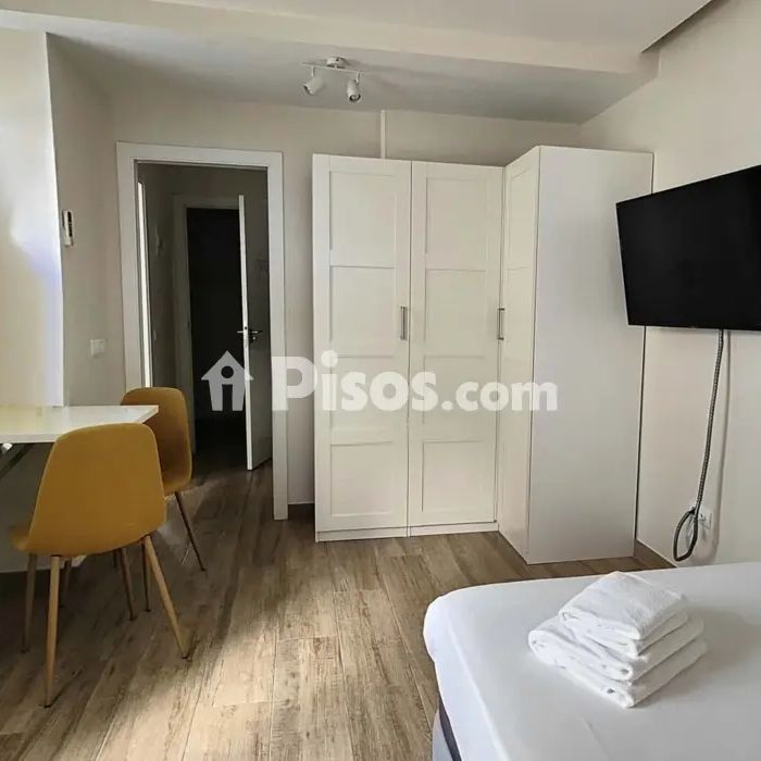 Estudio en alquiler en Paseo de la Castellana - Foto 1