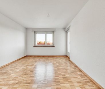 Leben neben der Schüssinsel - Vivre près de l'île de la Suze - Foto 4