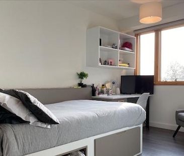 Studio to rent - Photo 5