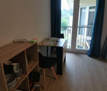 Location Appartement 1 pièce 20m² - Photo 3