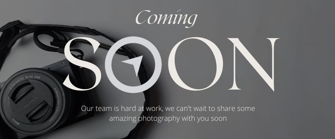 9 Ravida Way, Mickleham VIC 3064 - Townhouse For Rent | Domain - Photo 1