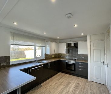 Pine Close - Photo 3