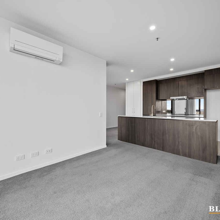 "HIGH SOCIETY" - Photo 1