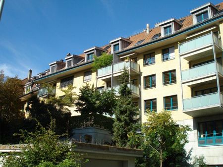 3 Zimmer Wohnung - Foto 2