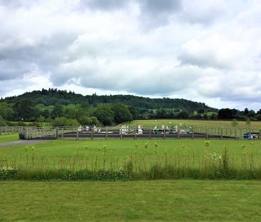 2 bedroom equestrian property to rent - Photo 6
