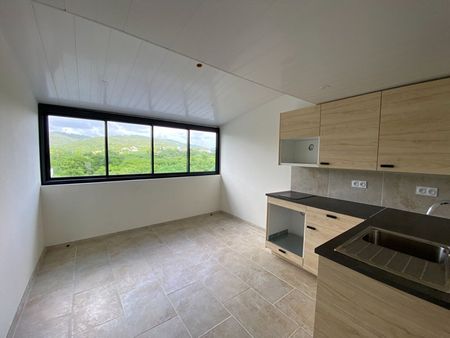 Ste Luce, (97228) - Photo 5