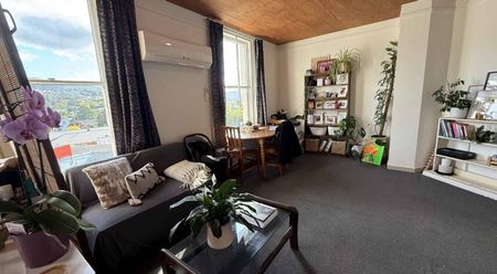 Sunny Studio in Roslyn – Back by Popular Demand! - Photo 3