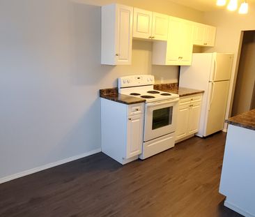 Fantastic Upper Level 2 bedroom suite in Sylvan Lake!! - Photo 4