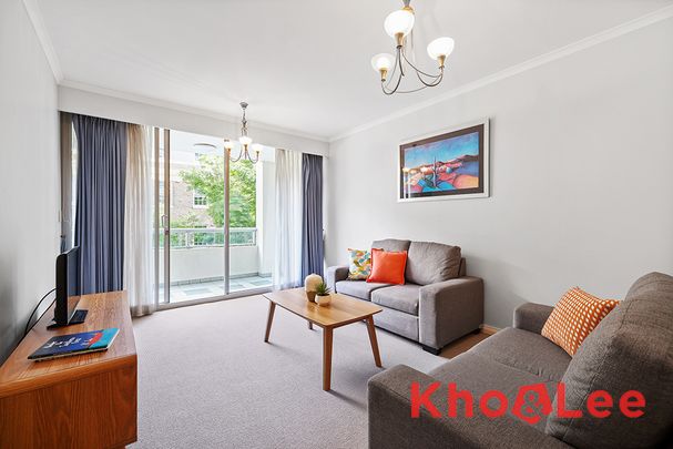 209/50 Murray Street, Pyrmont NSW 2009 - Apartment For Rent | Domain - Photo 1