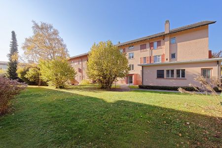 Rent a 3 rooms apartment in Grenchen - Photo 5