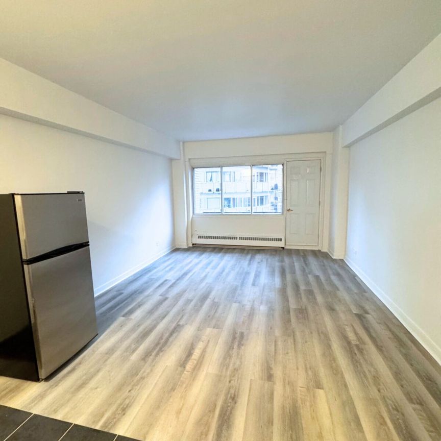 Great Studio – 175 Sherbrooke O - Photo 1