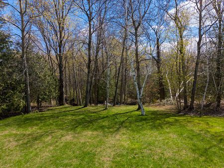 For Lease - 31 SLALOM GATE Road, Collingwood, Ontario - Photo 2