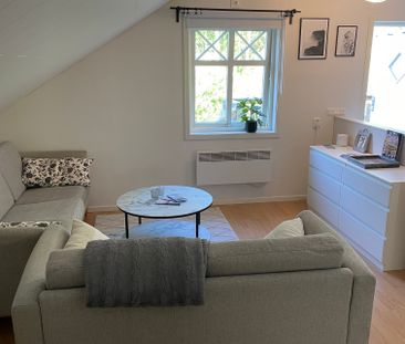 Hermans lycka, Kode - Foto 3