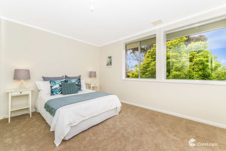 84 Serpentine Street, Duffy ACT 2611 - House For Rent | Domain - Photo 3