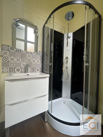 Appartement 207m² prox Denis Dussoubs - Photo 5