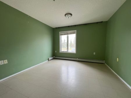 2 Bed Second Floor Unit at Monarch Place! Wheelchair Accessible! - Photo 3