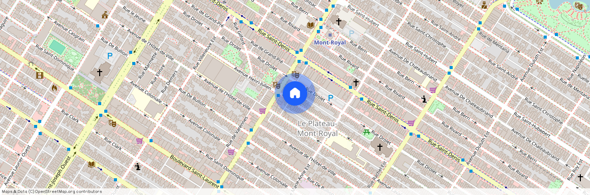 4459 - 4463 Av. Henri-Julien, apt. 4461, H2W2K9, Montréal (Le Plateau-Mont-Royal)