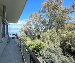 Διαμέρισμα για ενοικίαση - Ωρωπός - Photo 4