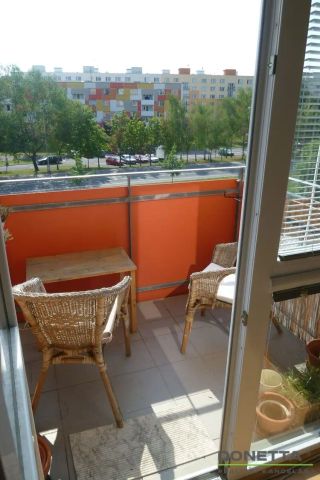 Pronájem prostorného bytu 1+kk/balkón – HK, Ve Stromovce - Fotografie 3