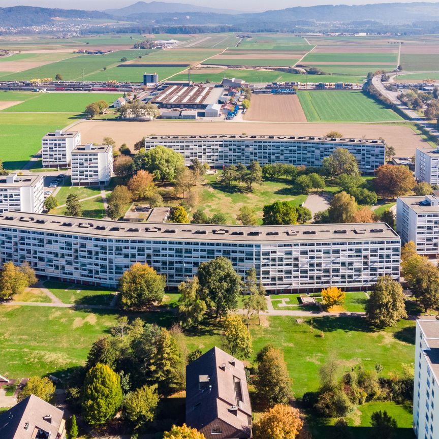 Wohnen an zentraler Lage in Birr - Foto 1