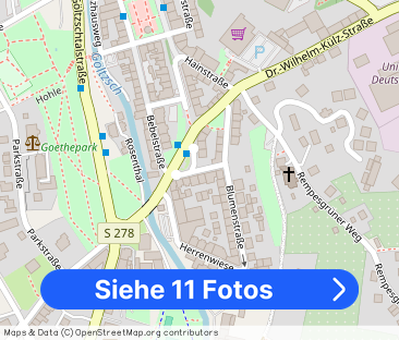 Hochwertige Erdgeschoss-1-Raum-Wohnung im Herzen von Auerbach - Foto 1