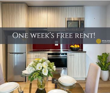 111 Dixon Street, Te Aro - Photo 5