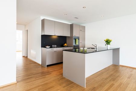 Moderne Sitzplatzwohnung sucht neuen Mieter - Foto 4