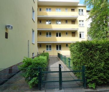 Helle Wohnung mit Balkon, nahe dem Volkspark Schönholzer Heide ***L... - Photo 6