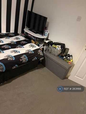 3 bedroom terraced house to rent - Photo 5